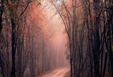 球友会体育：吉林男篮签下澳大利亚籍后卫布兰克利.