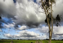 球友会体育：首届长三角青少年篮球联赛在沪开幕.