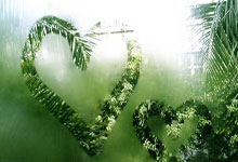 球友会体育：吉林男篮签下澳大利亚籍后卫布兰克利.