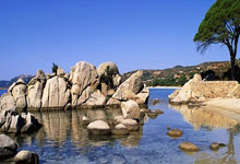 球友会体育：CBA季后赛：浙江男篮与青岛男篮首轮激战前瞻.